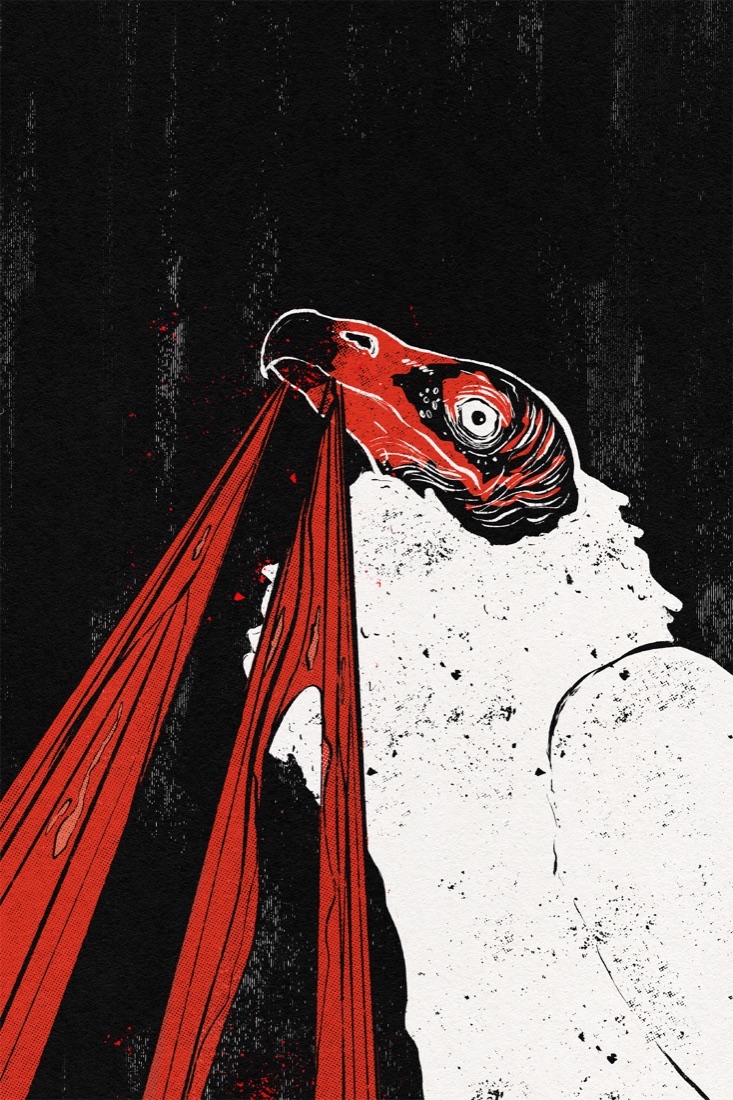 Illustration of a red-headed, white-feathered vulture seen from below, with two long red strips trailing from its beak, against a black background.